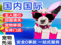 西双版纳嘎洒机场物流国际宠物托运 【国